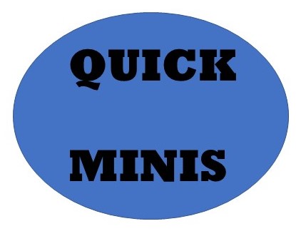 Quick Minis Logo