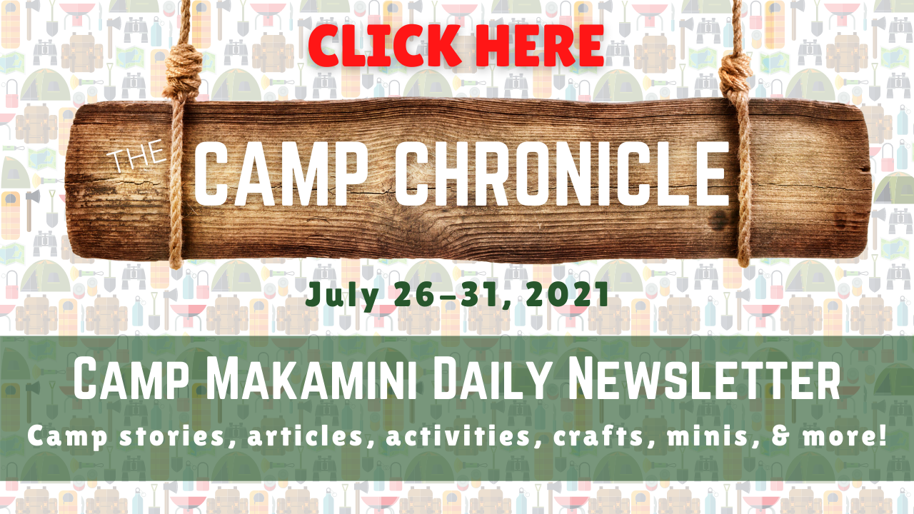 camp newsletter