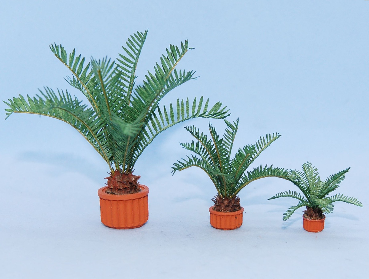 Sago Palm workshop