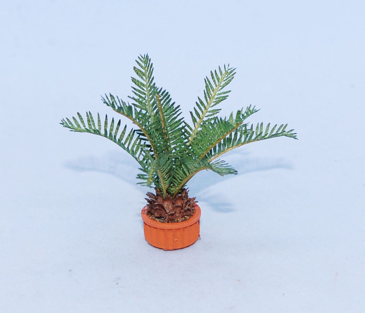 Sago Palm workshop