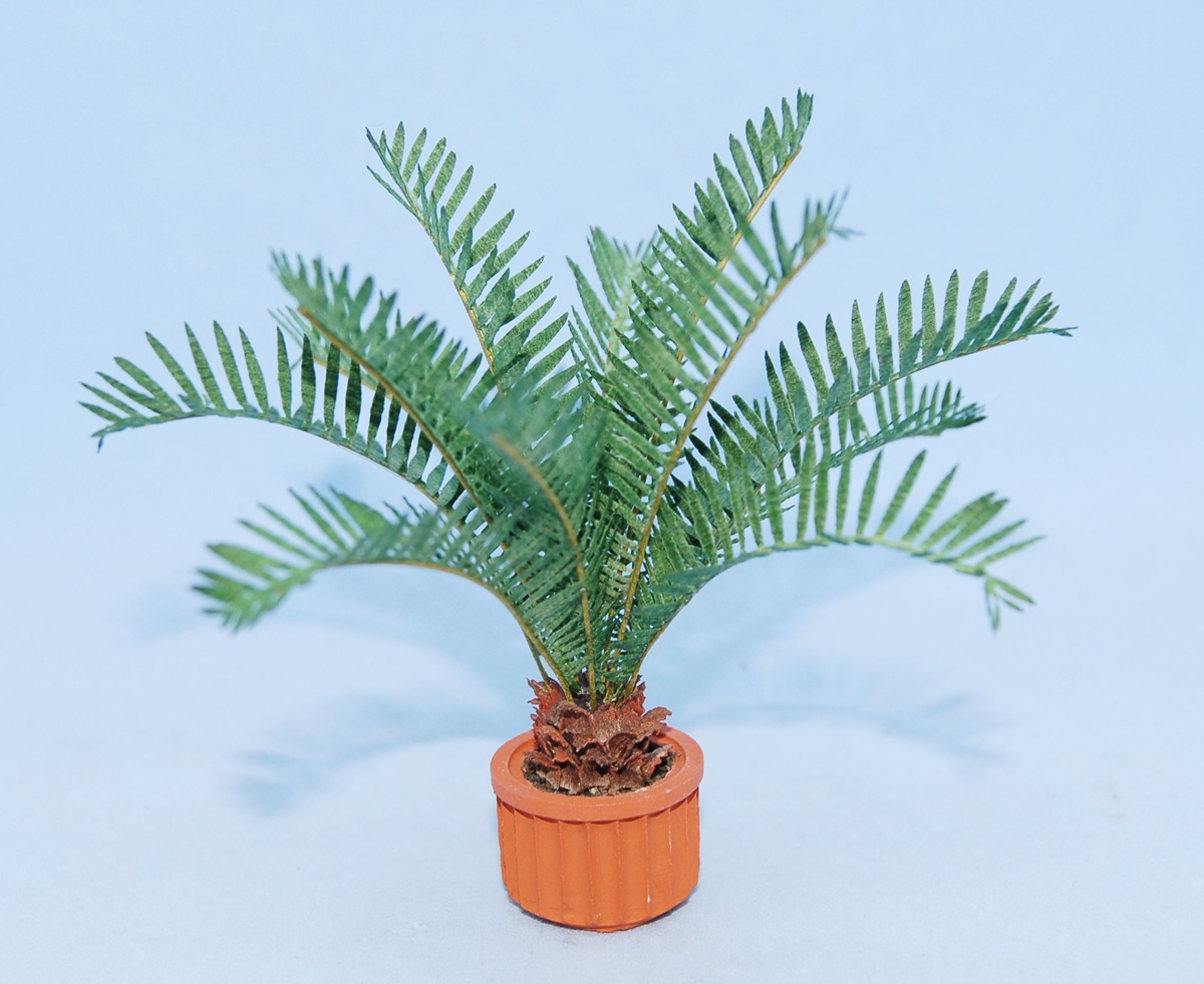 Sago Palm workshop