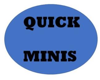 Quick Minis Logo